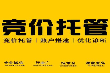 成功企业SEM竞价代运营案例研究